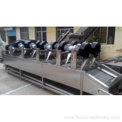 Dried Fruit Processing Line Dried Apricot Making Machine